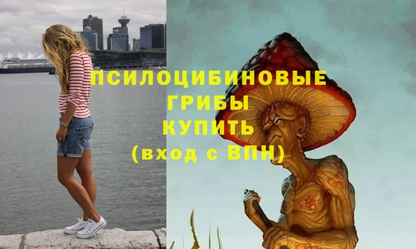 дживик Алексин