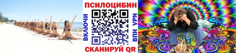 купить наркотики цена  shop наркотические препараты  Псилоцибиновые грибы мицелий  Жирновск 